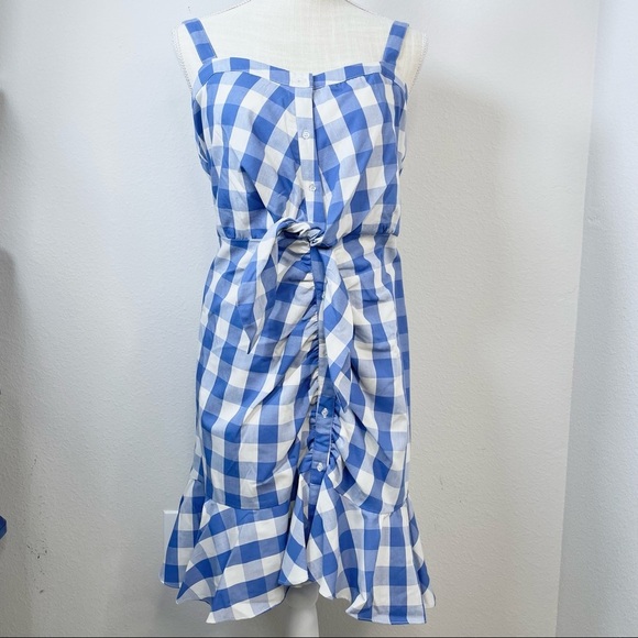 Likely Gingham Blue Mini Dress - Picture 3 of 13